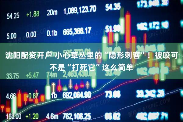 沈阳配资开户 小心草丛里的“隐形刺客”！被咬可不是“打死它”这么简单