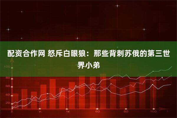 配资合作网 怒斥白眼狼：那些背刺苏俄的第三世界小弟